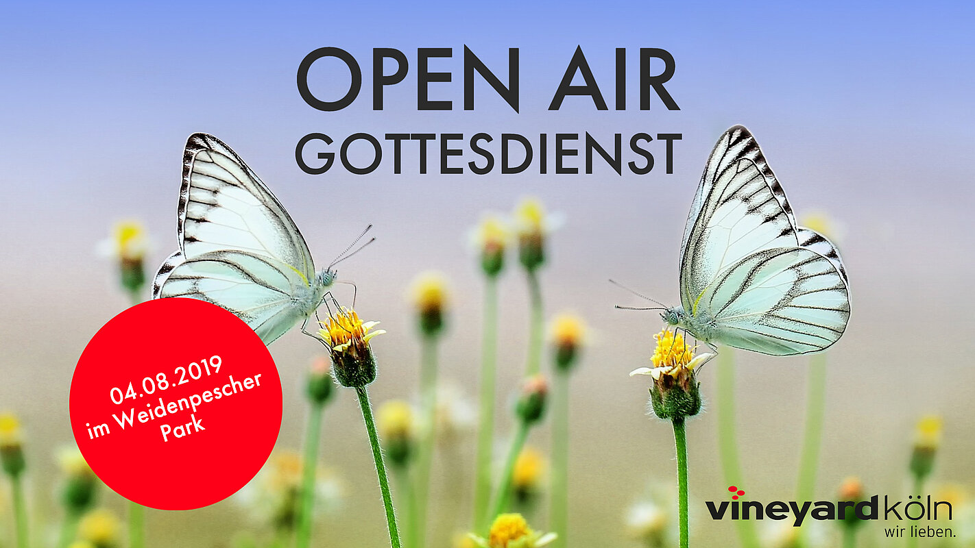 Vineyard Köln – Screendesign